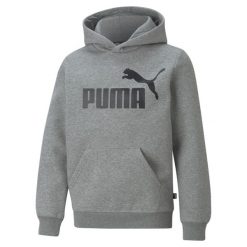 Młodzieżowa bluza z kapturem z dużym logo Essentials PUMA Medium Gray Heather. Szara bluzy damskie Puma, m, bez wzorów, z kapturem. W wyprzedaży za 152.55 zł.