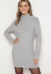 Szara Dzianinowa Sukienka o Pudełkowym Kroju z Golfem Sinelina. Szare sukienki damskie Born2be, bez wzorów, z dzianiny, eleganckie, bez ramiączek. W wyprzedaży za 76.49 zł.
