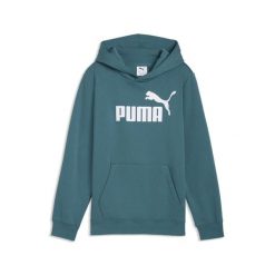 Młodzieżowa polarowa bluza z kapturem ESS z logo No. 1 PUMA. Szara bluzy damskie Puma, m, bez wzorów, z dżerseju, z kapturem. Za 149.00 zł.