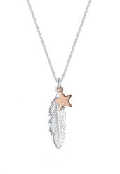 Elli Damski pióro gwiazda wisiorek dwukolorowy ze srebra próby 925 Sterling Silver Naszyjniki 1 ct. Szare naszyjniki damskie Elli, pozłacane. Za 188.99 zł.