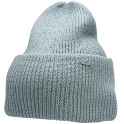 Czapka damska 4F. Niebieskie czapki damskie 4F, na zimę, bez wzorów, z materiału. Za 41.99 zł.