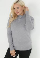 Szary Golf Dzianinowy z Długim Rękawem Dasso. Szare golfy damskie Born2be, plus size, bez wzorów, z dzianiny, bez ramiączek. Za 74.99 zł.