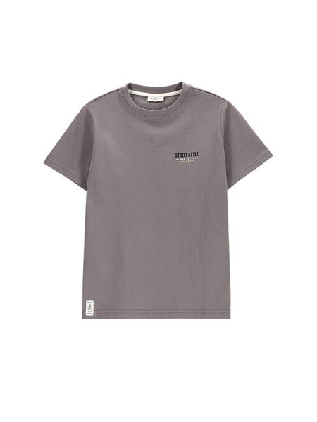 Coccodrillo T-Shirt WC5143206VBB Szary Regular Fit. Szare t-shirty i koszulki chłopięce COCCODRILLO, bez wzorów, z bawełny, bez kołnierzyka, bez ramiączek. Za 29.99 zł.