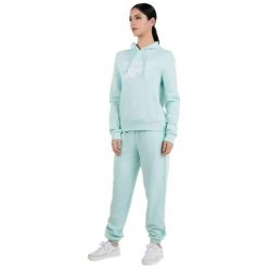 Bluza damska Reebok Identity Big Logo Fleece. Niebieskie bluzy damskie Reebok, xs, bez wzorów, z bawełny, z kapturem. Za 180.99 zł.