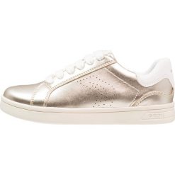 Geox DJROCK GIRL Tenisówki i Trampki light gold. Żółte buty sportowe dziewczęce Geox, z materiału. Za 269.00 zł.