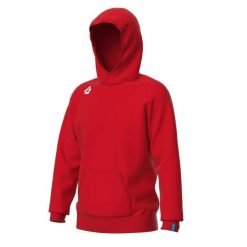 Bluza z kapturem Arena Team Panel. Czerwone bluzy damskie Arena, xl, bez wzorów, z bawełny, z kapturem. Za 336.00 zł.