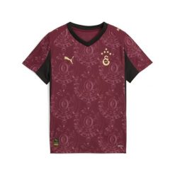 Młodzieżowa trzecia koszulka Galatasaray SK 25/26 PUMA. Brązowa koszulki damskie Puma, m, bez wzorów, bez kołnierzyka, bez ramiączek. Za 349.00 zł.
