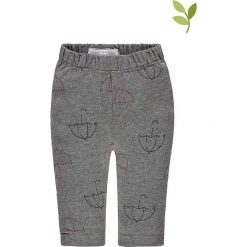 Legginsy w kolorze szarym. Szare spodnie niemowlęce Organic Fashion for Kids, z bawełny. W wyprzedaży za 43.95 zł.