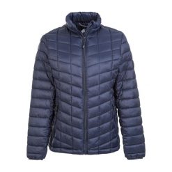 Damska kurtka puchowa Whistler Kate CFT. Niebieskie kurtki damskie WHISTLER, na zimę, bez wzorów, z nylonu, bez kaptura. Za 266.00 zł.
