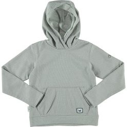 Bluza "Entangled" w kolorze szarym. Szare bluzy chłopięce Regatta, Dare 2b. W wyprzedaży za 73.95 zł.