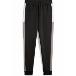 Młodzieżowe spodnie dresowe Essentials Block PUMA Black. Czarna spodnie dresowe damskie Puma, m, bez wzorów, z dresówki. W wyprzedaży za 99.00 zł.