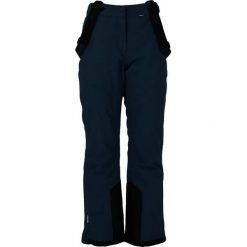 Spodnie narciarskie dla kobiet Whistler Drizzle Pro. Niebieskie spodnie sportowe damskie WHISTLER, na zimę, bez wzorów, narciarskie. Za 319.99 zł.
