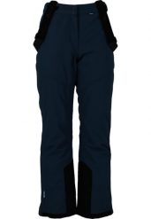 Spodnie narciarskie dla kobiet Whistler Drizzle Pro. Brązowe spodnie sportowe damskie WHISTLER, l, bez wzorów, z poliesteru, narciarskie. Za 319.99 zł.