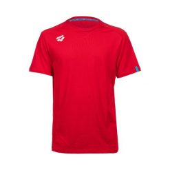 Koszulka Arena Team T-Shirt Panel. Białe koszulki damskie Arena, s, bez wzorów, ze skóry, bez ramiączek. Za 99.00 zł.