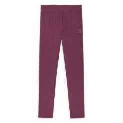 Legginsy damskie DIADORA L.LEGGINGS CORE. Fioletowe legginsy damskie Diadora, l, bez wzorów. Za 49.99 zł.