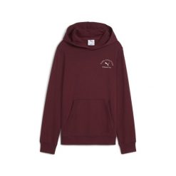 Młodzieżowa bluza z kapturem PUMA Class z grafiką PUMA Ruby Shimmer Red. Czerwona bluzy damskie Puma, m, bez wzorów, z kapturem. Za 229.00 zł.