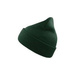 Czapka Wind Double Skin With Turn Up. Zielone czapki damskie ATLANTIS, bez wzorów. Za 29.99 zł.