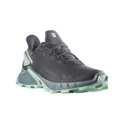 Buty turystyczne damskie Salomon Alphacross 4 Gtx. Szare obuwie sportowe damskie Salomon, bez zapięcia, do biegania. W wyprzedaży za 385.70 zł.