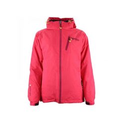 Kurtka narciarska 3 w 1 damska z odwracalnym designem Peak Mountain Acixi. Czerwone kurtki sportowe damskie Peak Mountain, na zimę, l, bez wzorów, z puchu, bez kaptura. W wyprzedaży za 471.50 zł.