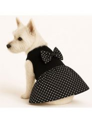 Paws&Whiskers Bluza w kolorze czarnym dla psa rozmiar: M. Czarne bluzy damskie Paws&Whiskers, m, bez wzorów, bez kaptura. Za 47.99 zł.