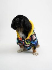 Paws&Whiskers Bluza ze wzorem dla psa rozmiar: M. Bluzy damskie Paws&Whiskers, m, bez wzorów, bez kaptura. Za 86.99 zł.