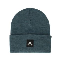 Czapka Whistler Linjoe. Niebieskie czapki damskie WHISTLER, na jesień, bez wzorów. Za 108.50 zł.