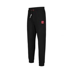 Spodnie dresowe damskie DIADORA L. JOGGER PANT URBANITY S. Czarne spodnie sportowe damskie Diadora, l, bez wzorów, z dresówki. Za 109.99 zł.
