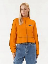 BLUZA DAMSKA ELLESSE BOXY OVERSIZE ZE STÓJKĄ POMARAŃCZOWA KOLOR POMARAŃCZOWY. Brązowe bluzy damskie Ellesse, l, bez wzorów, z bawełny, bez kaptura. Za 139.00 zł.