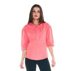 Bluza ciepła z bawełna z kaptur na co dzień. Brązowe bluzy damskie LEONE 1947 APPAREL, bez wzorów, z bawełny, bez kaptura. W wyprzedaży za 134.57 zł.