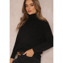 Czarny Golf Aldeimon. Czarne golfy damskie Renee, bez wzorów, z dzianiny, bez ramiączek. Za 99.99 zł.