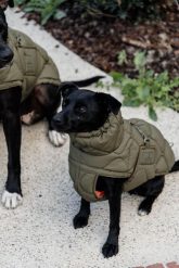 Płaszcz dla psa Kentucky Pina. Niebieskie płaszcze damskie KENTUCKY HORSEWEAR, na jesień, l, bez wzorów, z gumy, bez kaptura. Za 541.50 zł.