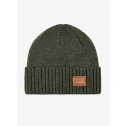 Czapka zimowa Patagonia Brodeo Beanie - skyline pine needle green. Zielone czapki damskie Patagonia, na zimę, bez wzorów. Za 134.99 zł.