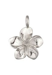 Elli Wisiorek Damski Frangipani 925 Sterling Silver Lato / Plaża Naszyjniki 1 ct. Szare naszyjniki damskie Elli, srebrne. Za 143.99 zł.