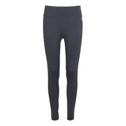 Legginsy damskie Holeen Pro Compression. Szare legginsy sportowe damskie Regatta, s, bez wzorów, z dżerseju, na fitness i siłownię. W wyprzedaży za 169.99 zł.