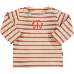 Sweter w kolorze biało-czerwonym. Białe swetry chłopięce Imps & Elfs, w paski, z bawełny, z okrągłym kołnierzem. W wyprzedaży za 65.95 zł.