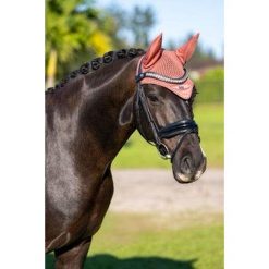 Krótki kapelusz dla koni Equestrian Stockholm Modern. Brązowe kapelusze damskie EQUESTRIAN STOCKHOLM, bez wzorów, sportowe. Za 307.00 zł.