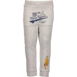 Blue Seven Spodnie Dresowe Chłopięce 104 Szare. Spodnie dresowe chłopięce marki 4F. Za 69.00 zł.