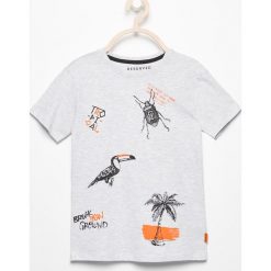 T-shirt z tropikalnym nadrukiem - Jasny szar. Szare t-shirty i koszulki chłopięce Reserved, z nadrukiem. W wyprzedaży za 9.99 zł.