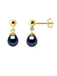 Pearl Addict Złote kolczyki-wkrętki z perłami rozmiar: onesize. Niebieskie kolczyki damskie Pearl Addict, z perłą, złote. Za 371.43 zł.