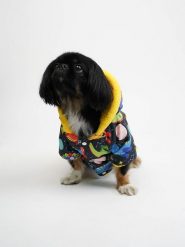 Paws&Whiskers Bluza ze wzorem dla psa rozmiar: M. Bluzy damskie Paws&Whiskers, m, bez wzorów, bez kaptura. Za 195.06 zł.