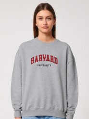 American Universities Bluza "Harvard University" w kolorze szarym rozmiar: M. Szare bluzy damskie American Universities, m, bez wzorów, bez kaptura. Za 83.81 zł.