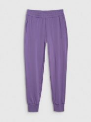 4F Spodnie sportowe w kolorze fioletowym rozmiar: L. Różowe spodnie sportowe damskie 4F, l, bez wzorów, z materiału, outdoorowe. Za 82.83 zł.