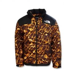 Kurtka uniwersalna damska The North Face NF0A3Y23OS3. Brązowe kurtki damskie The North Face, m, bez wzorów, z syntetyku, bez kaptura. Za 1,147.00 zł.