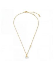 Coach Naszyjnik 37571284 Złoty. Żółte naszyjniki damskie Coach, metalowe. Za 399.99 zł.